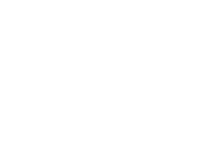 Velohawk